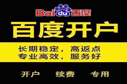 百度竞价排名实战：某电商平台的成功之路
